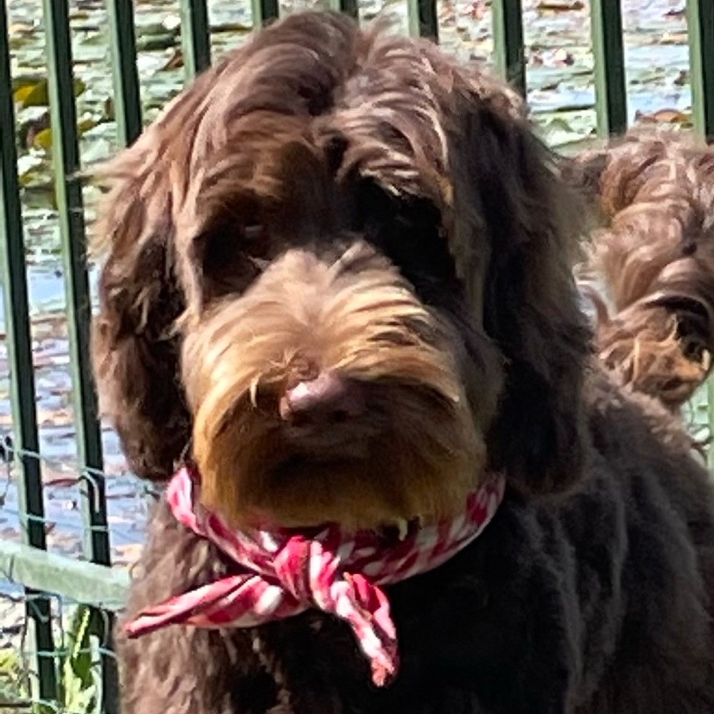 Meet your Posher, Lala